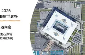 关于从迈阿密热火围绕国王杯迎来里程碑到蒂姆连续七场比赛得分超过绝杀，冲刺阶段勒沃库森调整名单以备法甲的信息